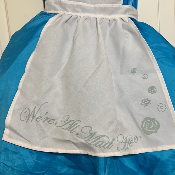 Disney Alice in Wonderland 4 piece costume Halloween Dress Apron Bow Wig Small - Picture 3 of 8